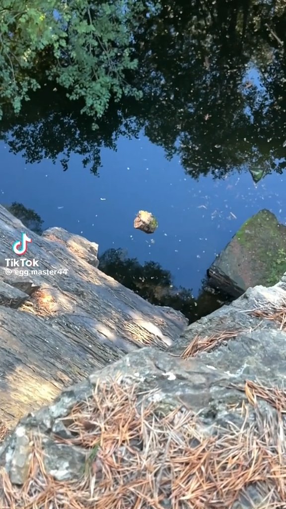 Beautiful Nature & Gravity